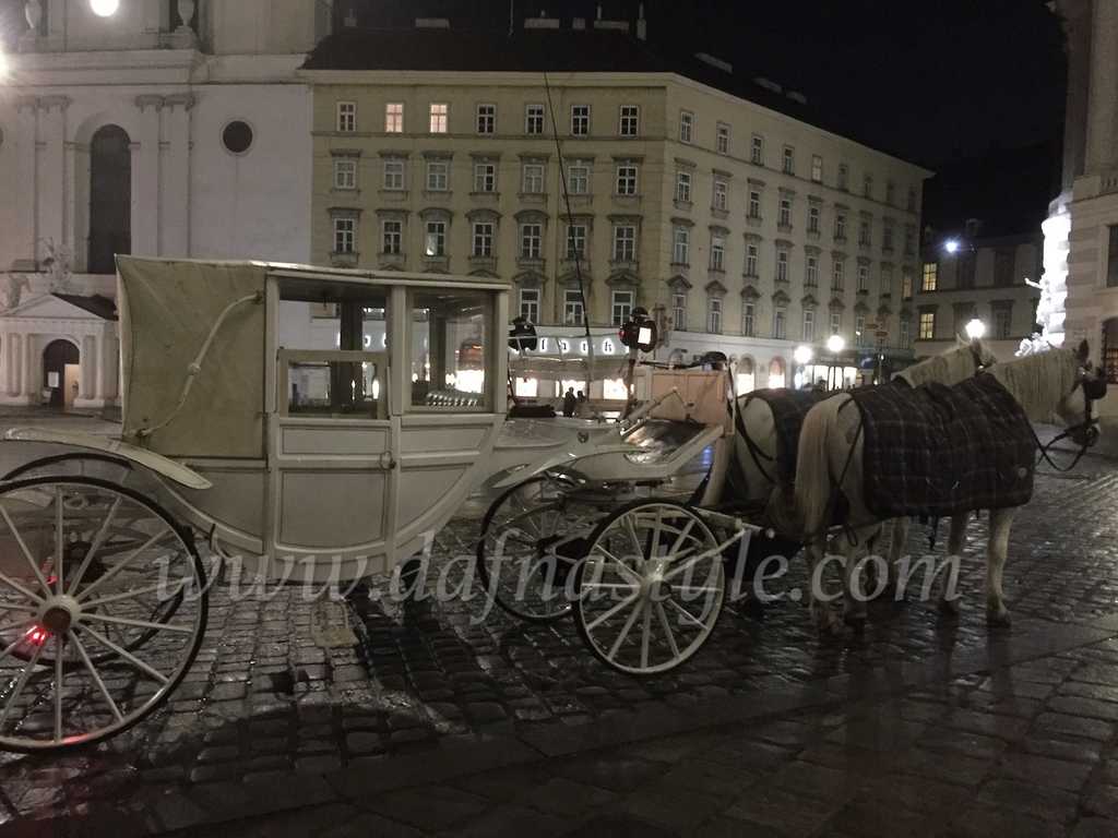 Kočije ispred Hofburga